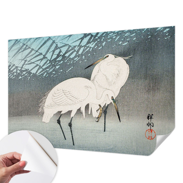 Tapeta fotograficzna Tapeta fotograficzna