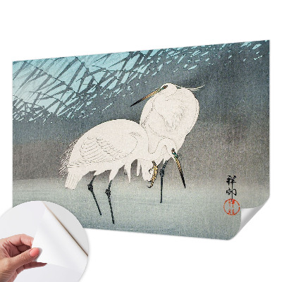 Tapeta fotograficzna Tapeta fotograficzna