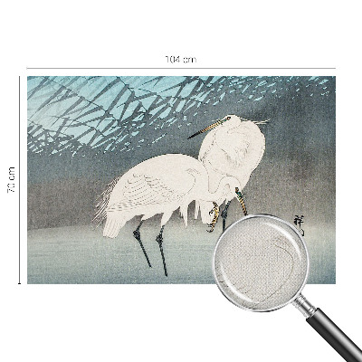 Tapeta fotograficzna Tapeta fotograficzna