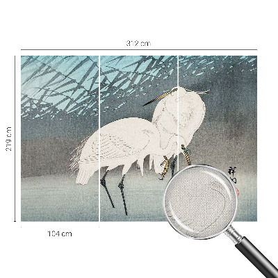 Tapeta fotograficzna Tapeta fotograficzna