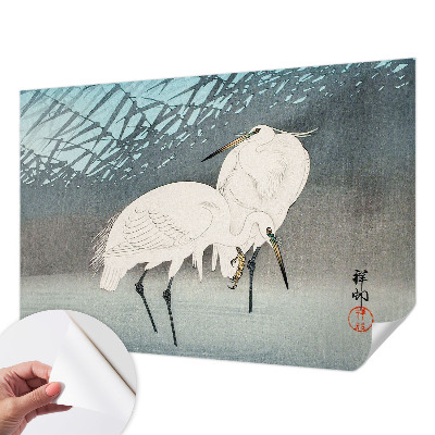 Tapeta fotograficzna Tapeta fotograficzna