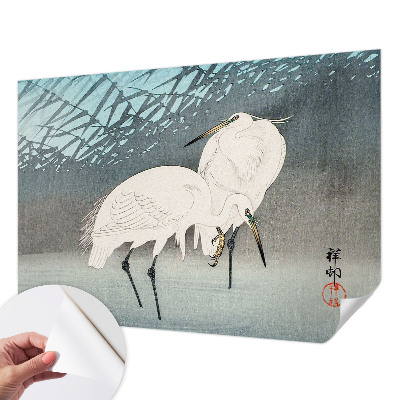 Tapeta fotograficzna Tapeta fotograficzna