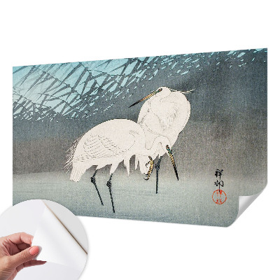 Tapeta fotograficzna Tapeta fotograficzna