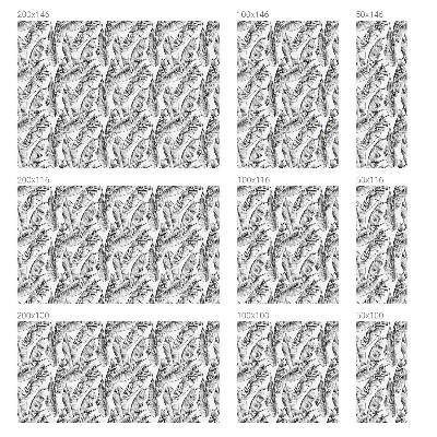 Naklejka na okno dająca prywatność Tropikalne liście