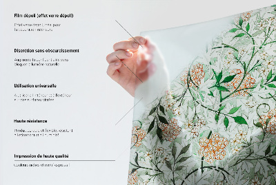 Folia dekoracyjna na okna Botaniczny wzór