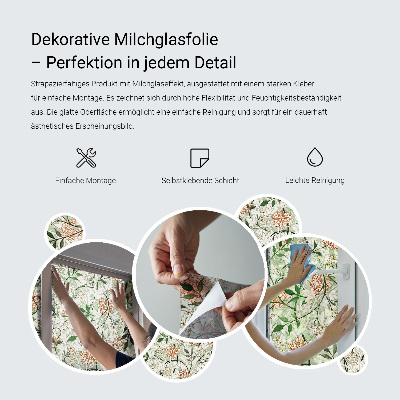 Naklejka na okno dająca prywatność Liście botaniczne