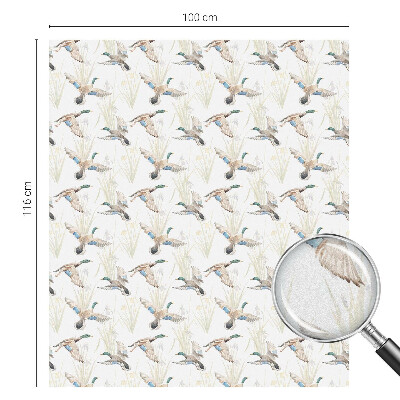 Mleczna naklejka na okno Ptaki natura