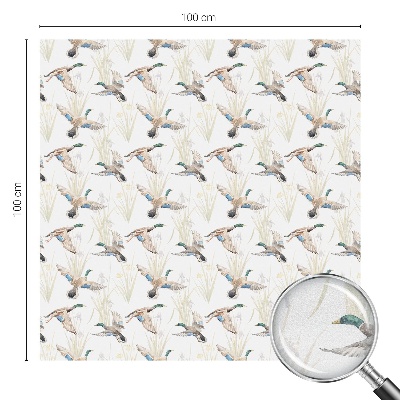 Mleczna naklejka na okno Ptaki natura