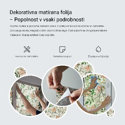 Folia dekoracyjna na okna Eleganckie liście