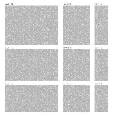 Naklejka na okno dająca prywatność Liściasta elegancja