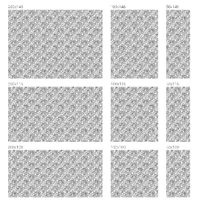 Mleczna naklejka na okno Klasyczne portrety