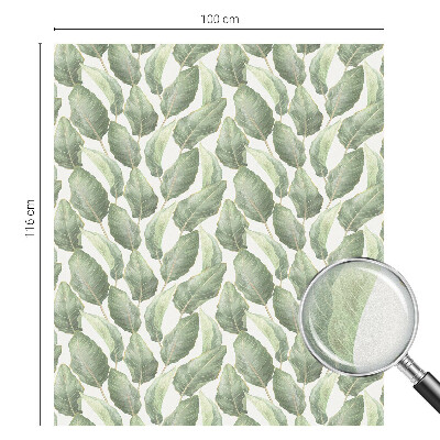 Folia dekoracyjna na okna Zielone liście