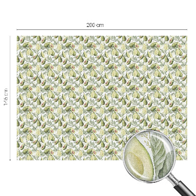 Folia dekoracyjna na okna Awokado liście