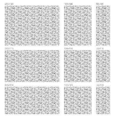 Folia okienna zapewniająca prywatność Ptaki i kwiaty