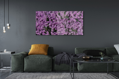 Obraz akrylowy Fioletowe kwiaty