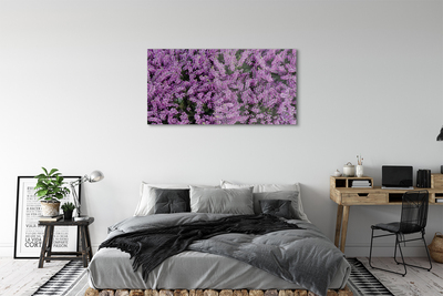 Obraz akrylowy Fioletowe kwiaty