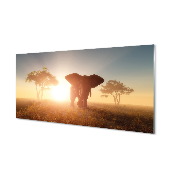 Obraz akrylowy Słoń drzewa wschód