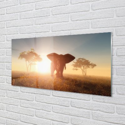Obraz akrylowy Słoń drzewa wschód