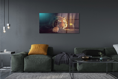 Obraz akrylowy Tygrys las człowiek