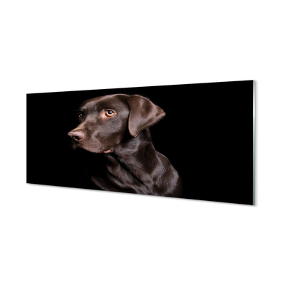 Obraz akrylowy Brązowy pies