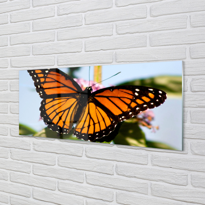 Obraz akrylowy Kolorowy motyl