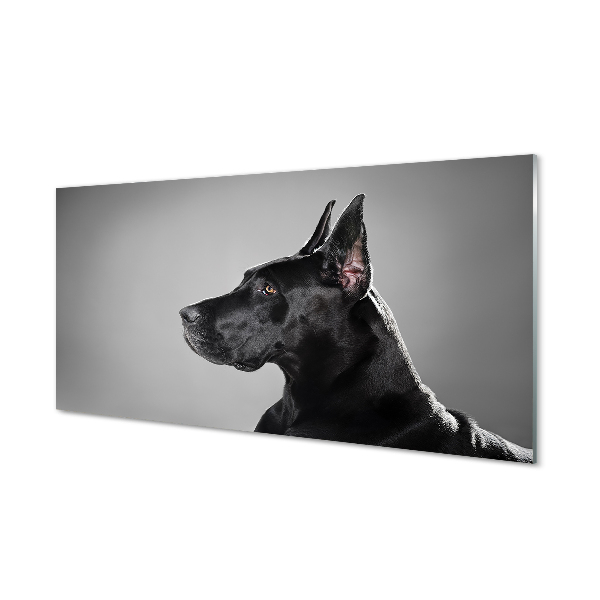 Obraz akrylowy Czarny pies