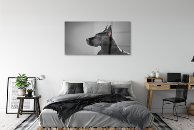 Obraz akrylowy Czarny pies