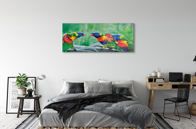 Obraz akrylowy Kolorowe papugi drzewo