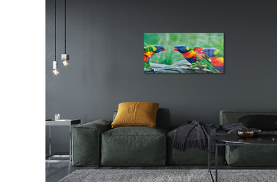 Obraz akrylowy Kolorowe papugi drzewo