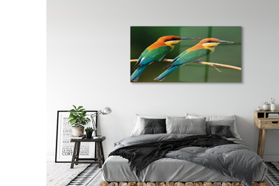 Obraz akrylowy Kolorowe papugi na gałęzi