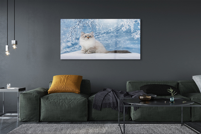 Obraz akrylowy Kot zimą