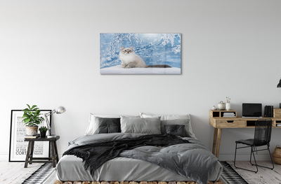 Obraz akrylowy Kot zimą