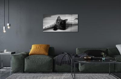 Obraz akrylowy Kot pod kołdrą