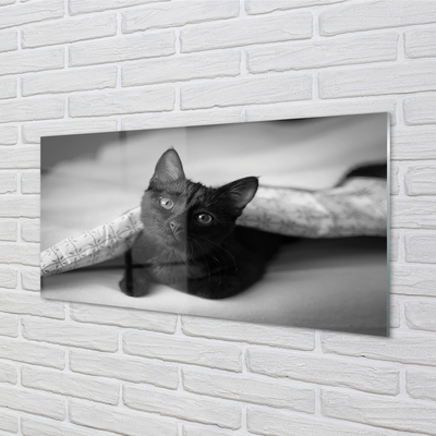 Obraz akrylowy Kot pod kołdrą