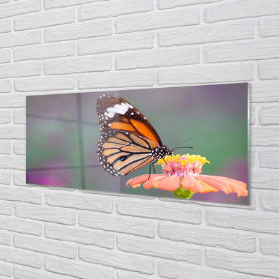 Obraz akrylowy Kolorowy motyl kwiat
