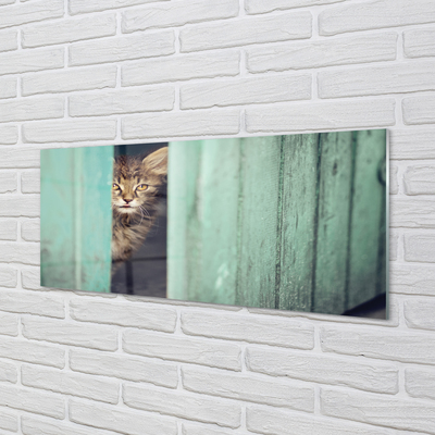 Obraz akrylowy Zaglądający kot