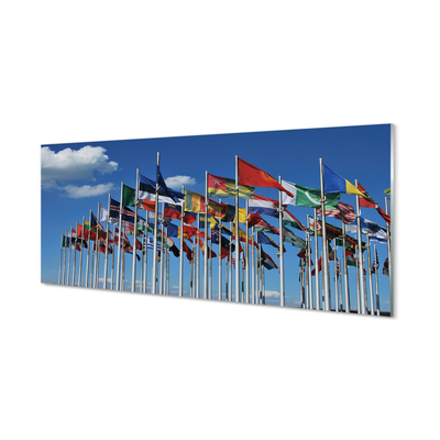 Obraz akrylowy Różne flagi