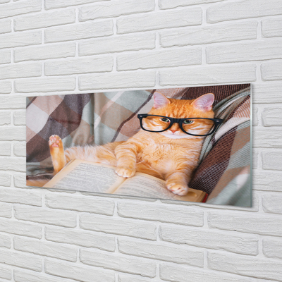 Obraz akrylowy Czytający kot