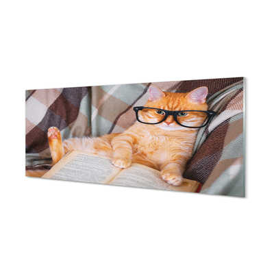 Obraz akrylowy Czytający kot