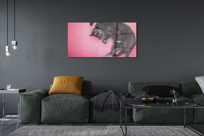 Obraz akrylowy Leżący kot