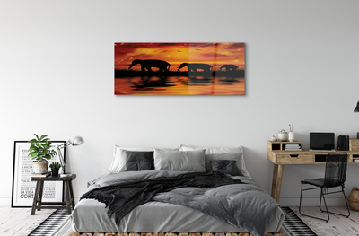 Obraz akrylowy Zachód słonie jezioro