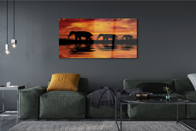 Obraz akrylowy Zachód słonie jezioro