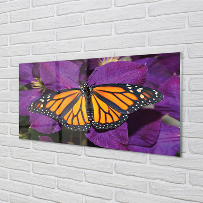 Obraz akrylowy Kolorowy motyl kwiaty