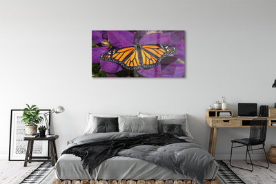 Obraz akrylowy Kolorowy motyl kwiaty