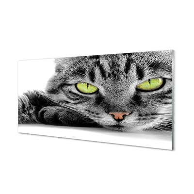 Obraz akrylowy Szaro-czarny kot