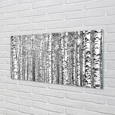 Obraz akrylowy Czarno-białe drzewa