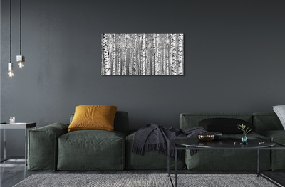 Obraz akrylowy Czarno-białe drzewa