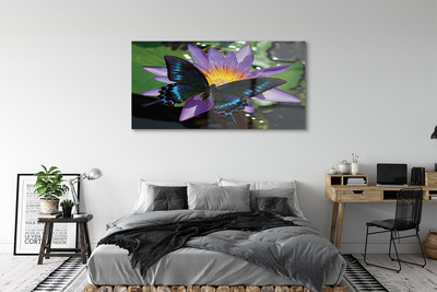 Obraz akrylowy Kwiat motyl