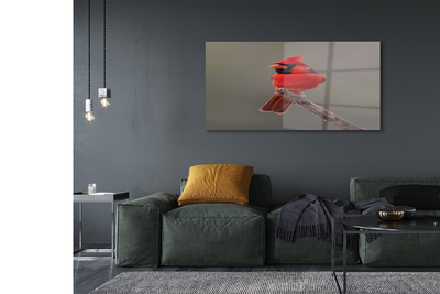 Obraz akrylowy Czerwona papuga na gałęzi