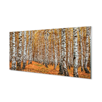 Obraz akrylowy Jesień drzewa